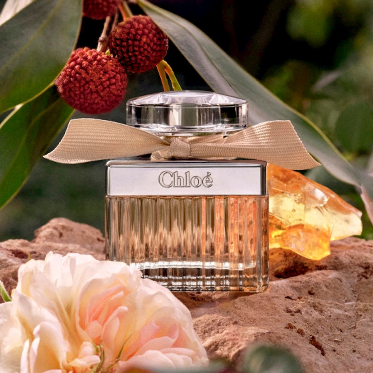 🌿 Perfume Feminino Chloé Eau de Parfum